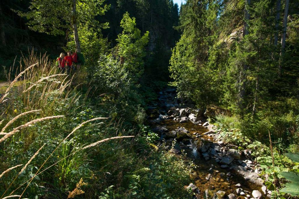 An der Alb bei St. Blasien-Glashofsäge © Klaus-Peter Kappest