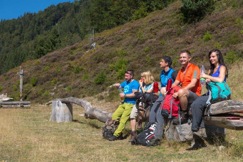 Rast bei Menzenschwand © Klaus-Peter Kappest