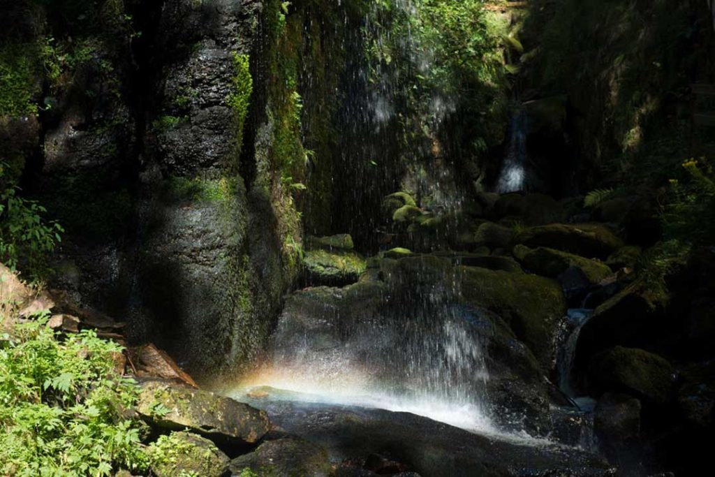 Am Menzenschwander Wasserfall © Klaus-Peter Kappest