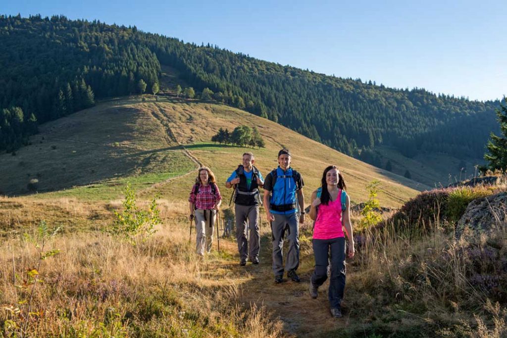 Weg zum Scheibenfelsen © Klaus-Peter Kappest