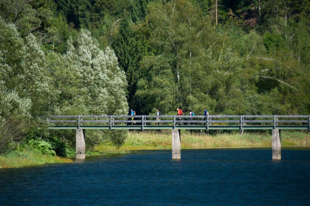 Steg beim Albstausee © Klaus-Peter Kappest