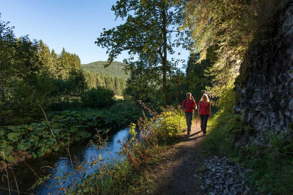 Pfad an St. Blasien-Glashofsäge © Klaus-Peter Kappest